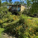Ferienhaus Mobilhome Au *