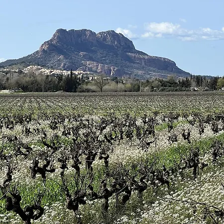 Mobilhome Au * Roquebrune-sur Argens